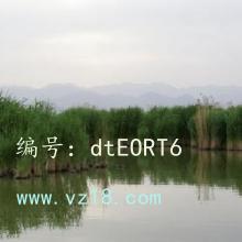 ǱĬ